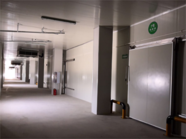 建造200噸的肉類冷鏈冷凍庫如何做好規劃設計？