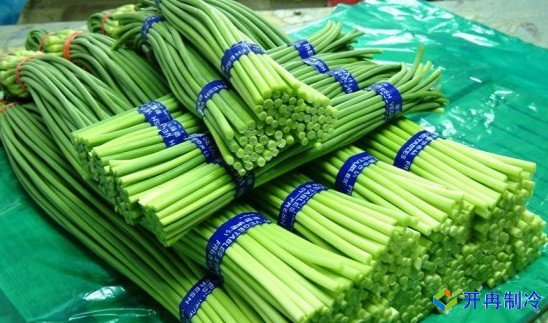 3000噸蒜薹冷庫前期規劃，冷庫造價預算多少錢